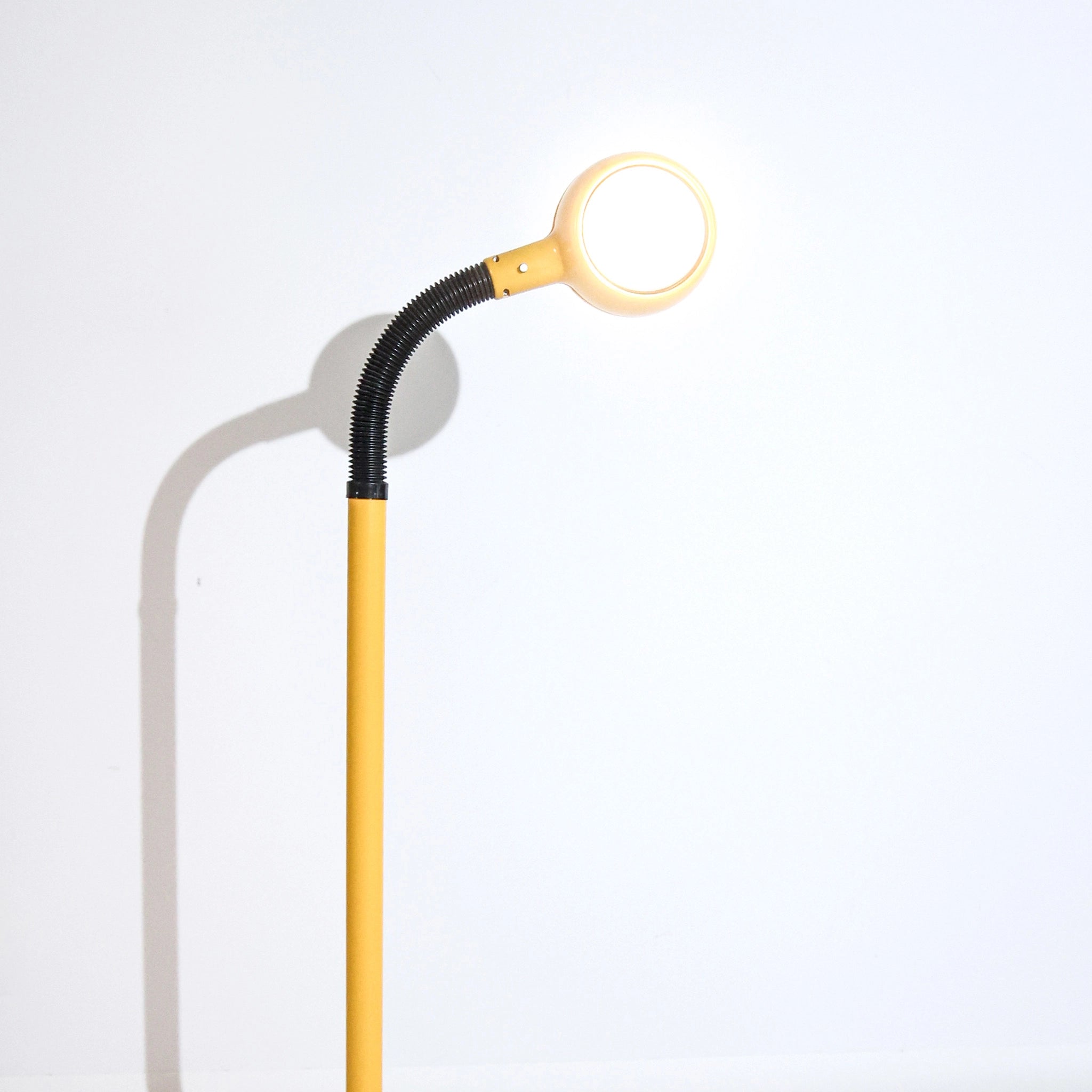 Mod Gooseneck Floor Lamp by Lightolier, 1980s