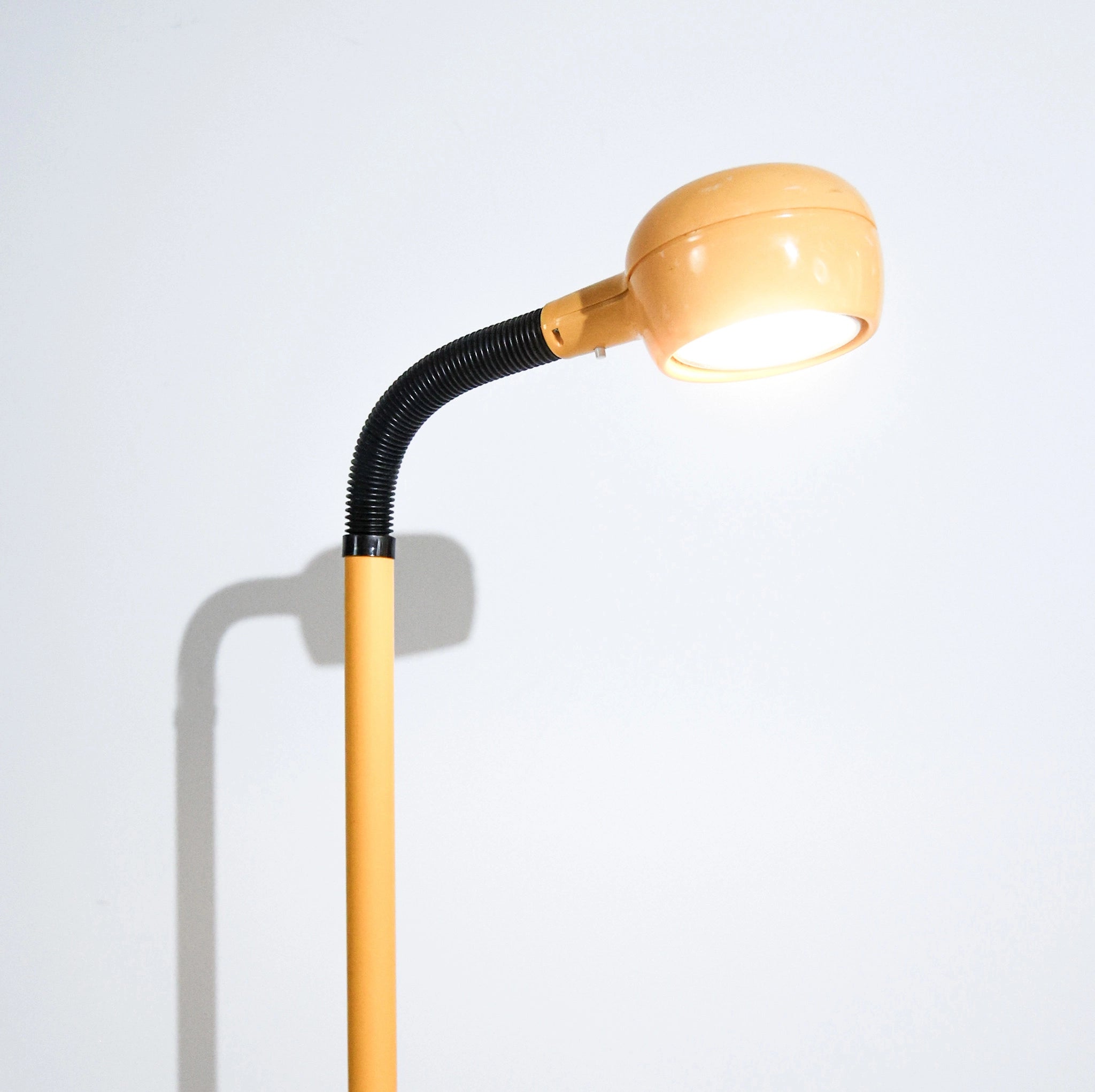 Mod Gooseneck Floor Lamp by Lightolier, 1980s