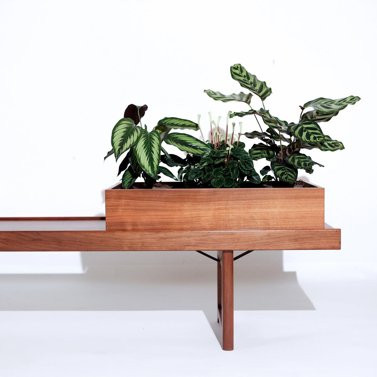 Banco Vintage Krobo de Torbjørn Afdal para Bruksbo con Tres Jardineras, Palisandro, Noruega, Años 60